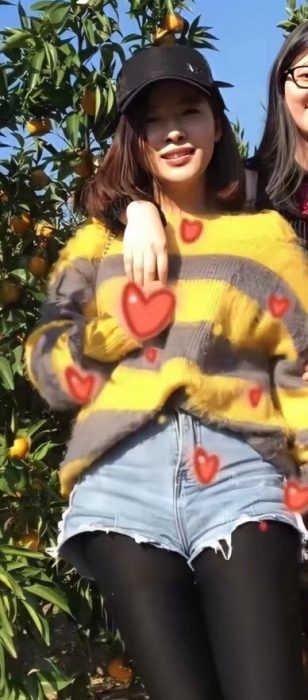 【玫瑰】的相册